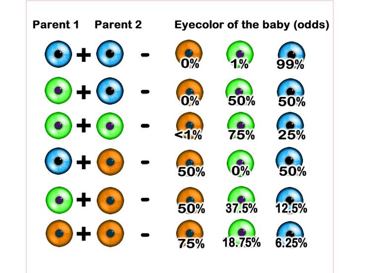 all possible eye colors