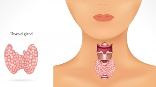 How To Solve the Thyroid Problem, Activate Your Metabolism, And Lose ...