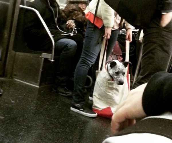 ThisHappensWhenDogsAren’tAllowedOnTheNewYorkSubwayUnless