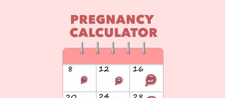 Useful Pregnancy Calculators Calculate Date Conception Due Date Women Daily Magazine 7356
