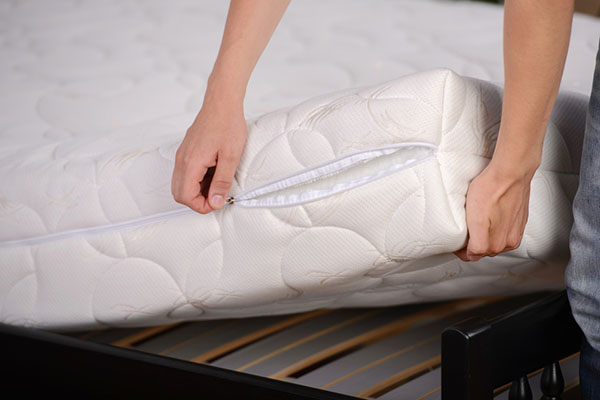 change mattress bed bugs