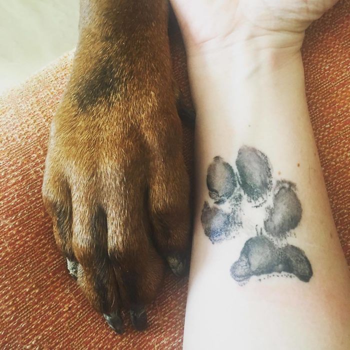 The Dog Paw Print Tattoos Are Now On Trend And Theyre Awesome Women