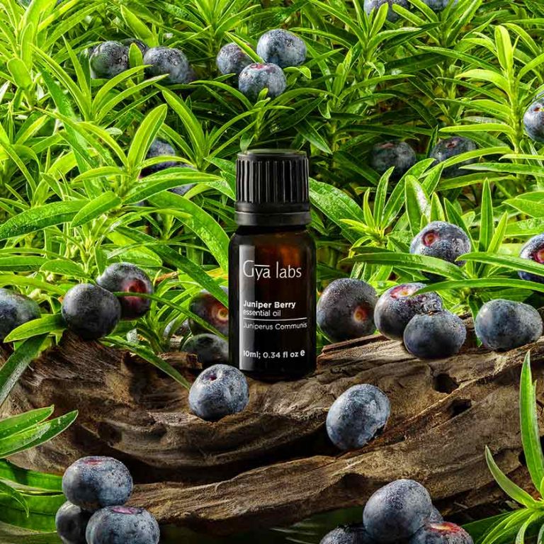 phenomenal-uses-benefits-of-juniper-berry-essential-oil-women-daily