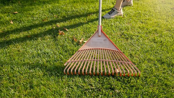 How to Use a Lawn Leveling Rake: The Easiest Guide