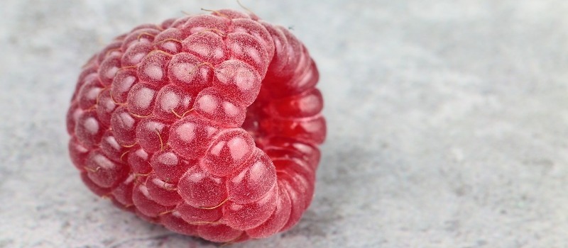 artificial fruit